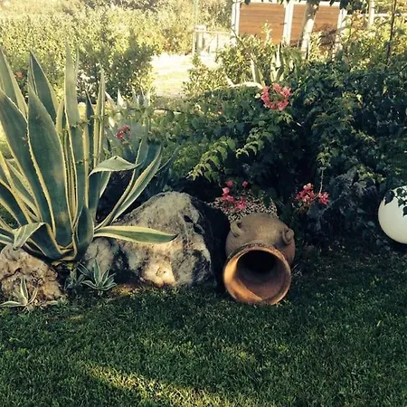 Un'oasi Di Relax Con Giardino Sul Mare! Daire *